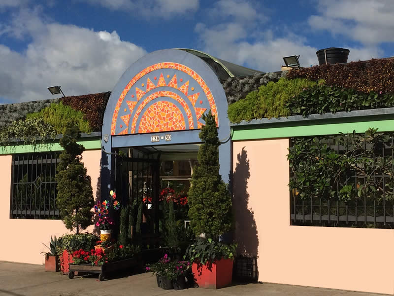 Vivero